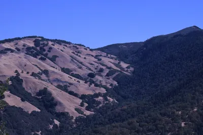 DSC_2231 (Large).JPG